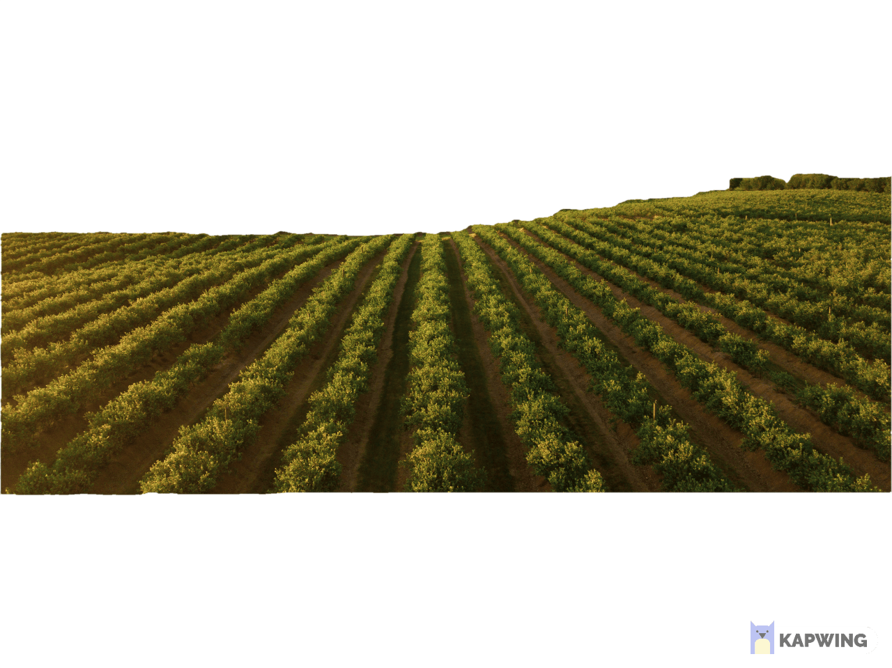 Farm