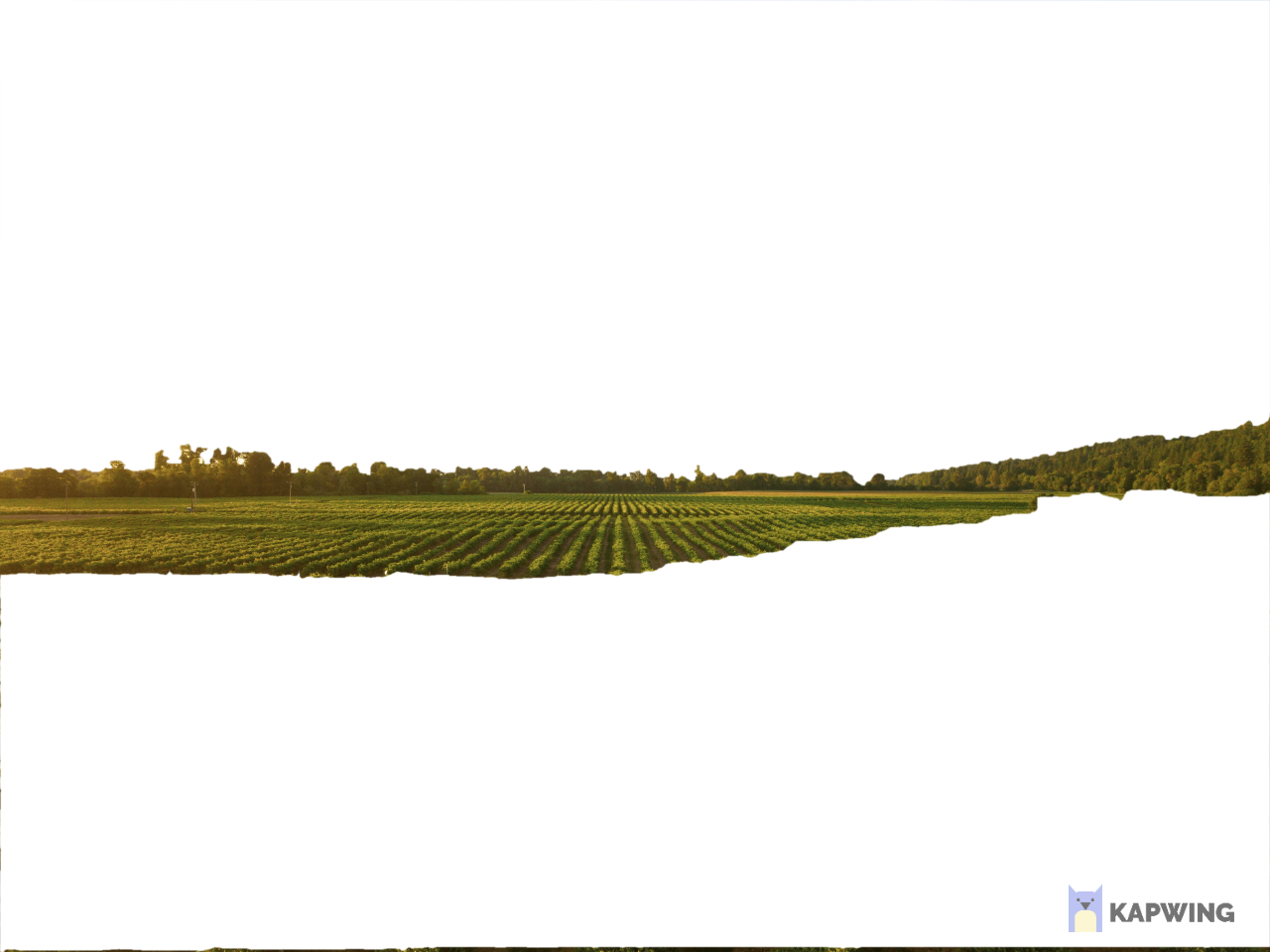 Farm Horizon